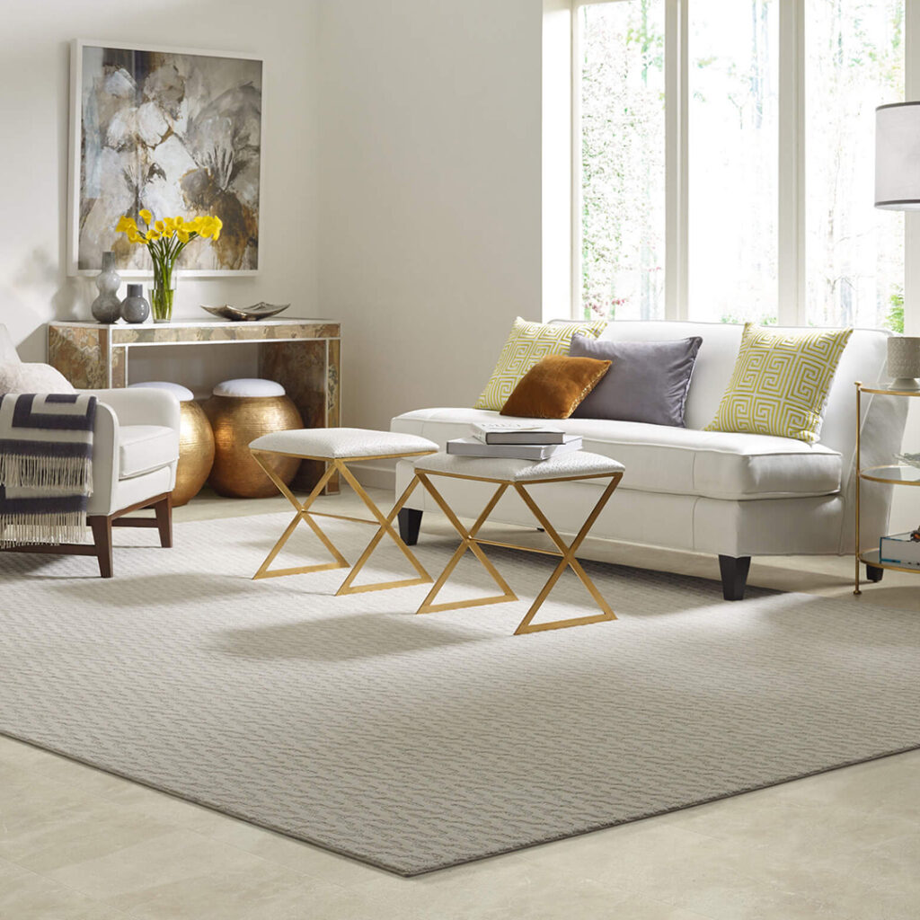 Area rug | A & S Carpet Collection