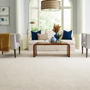 Champagne Color Shaw Floors carpet in living room | A & S Carpet Collection