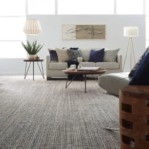 Textured gray Shaw Floors carpet in a modern living room | A & S Carpet Collection