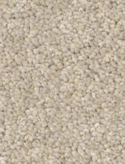 carpet-swatch-img